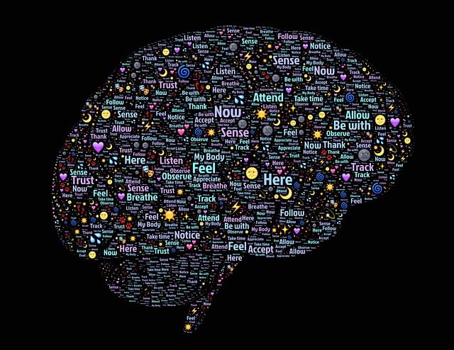 **"Neuroplastyczność i Holistyczne Odżywianie Mózgu: Jak dieta celowana może wzmacniać zdolność mózgu do adaptacji i uczenia się po 40-tce?"** - 1 2025